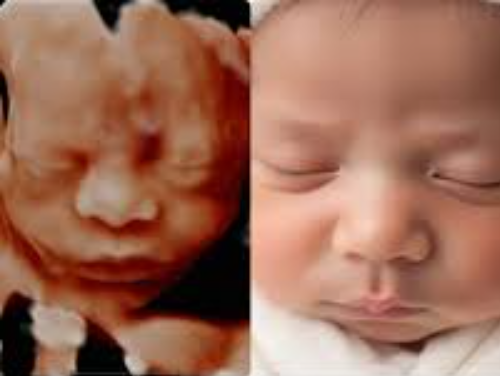 Expectant mother during a Babyview AI 8K rendering session