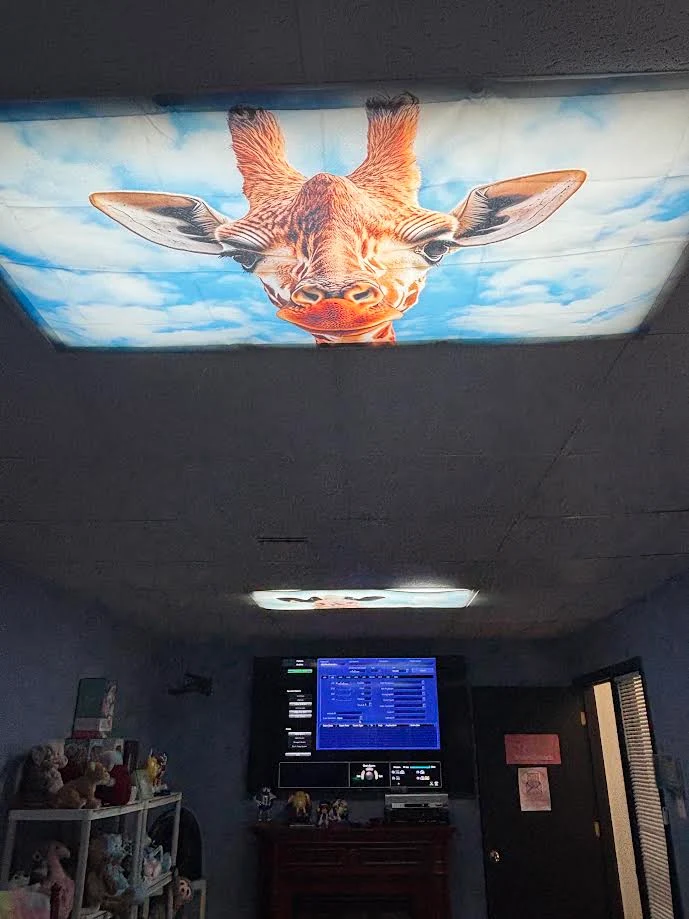 The scan room ceiling, fitted with a printed sky and giraffe panel to look up at during a session.